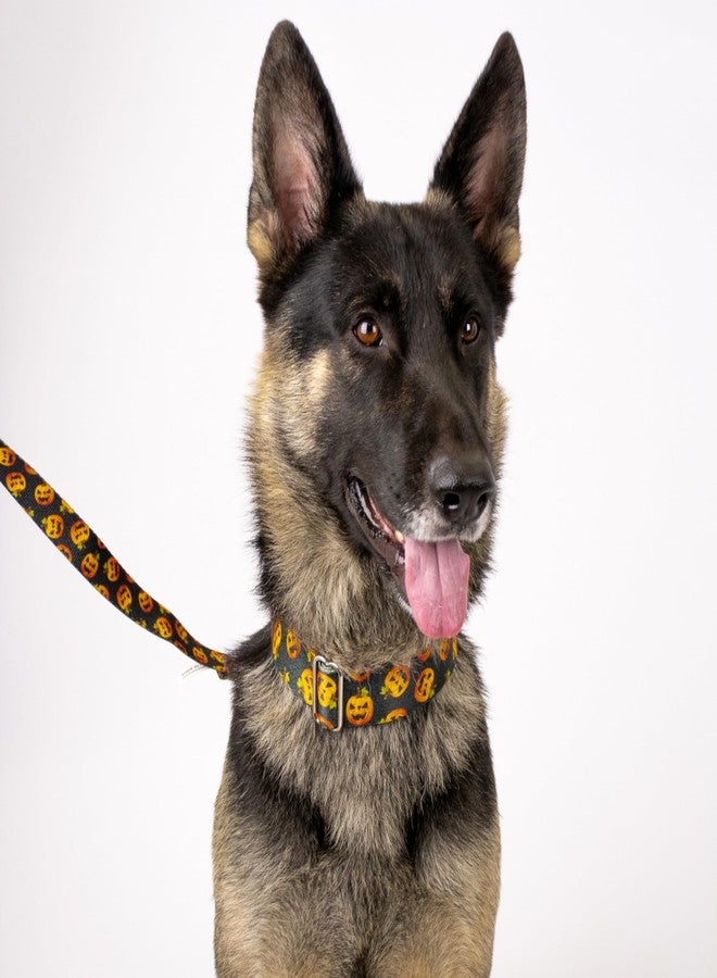 كانتري بروك ديزاين طوق مارتينجال عريض للكلاب من كونتري بروك بيتز - هوسفيت جونيور - مجموعة الهالوين بتصاميم مخيفة (هابي جاك، كبير) - Image 3